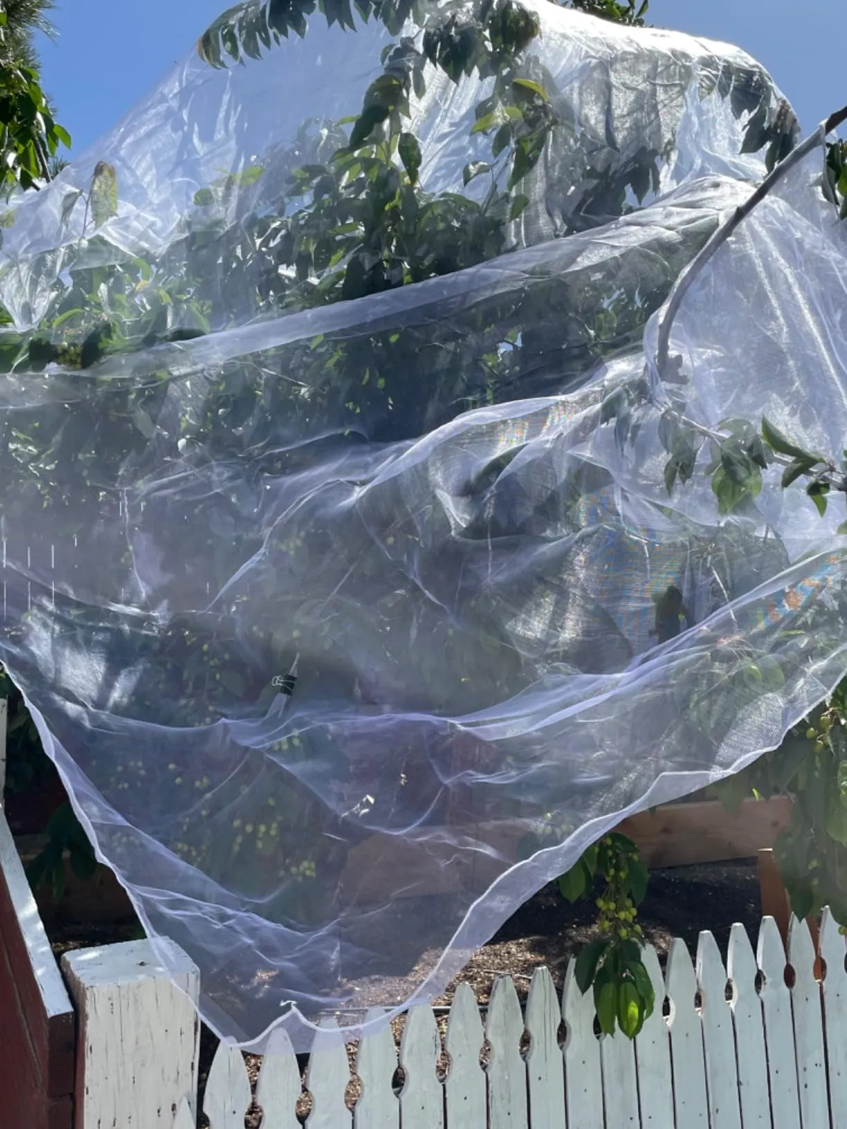 Read More About insect proof garden netting