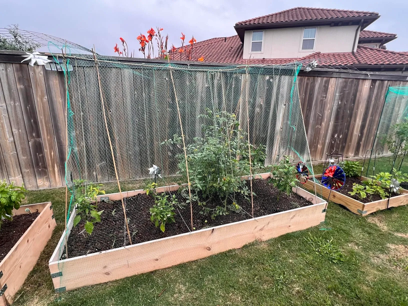 Read More About net for birds