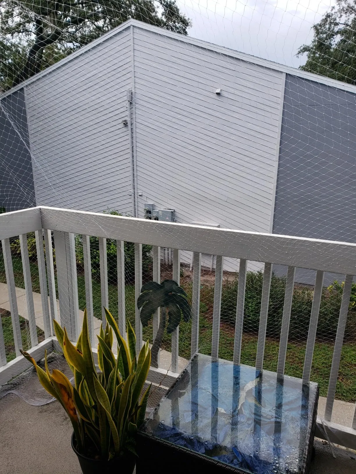 Read More About net for birds