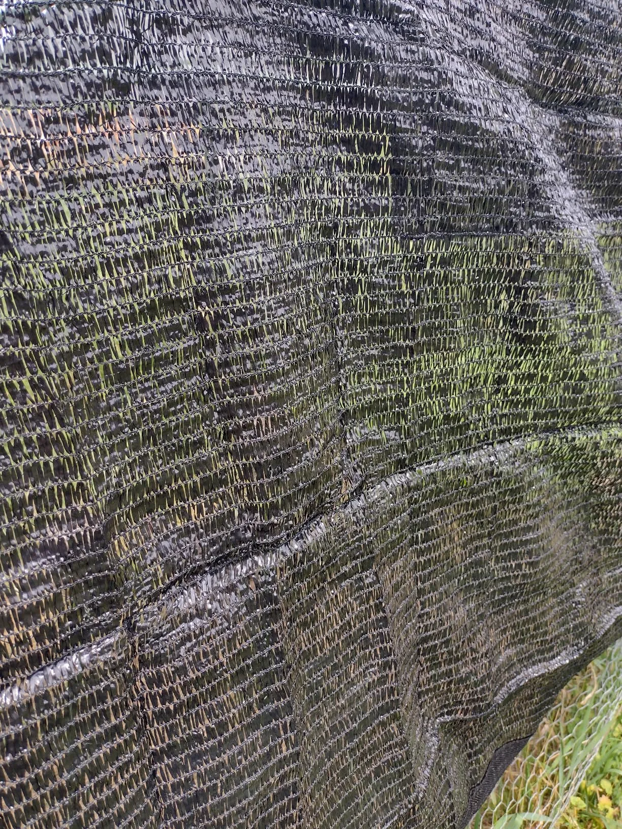 Flexible and Durable Plastic Garden Mesh for Effective Plant Protection and Support