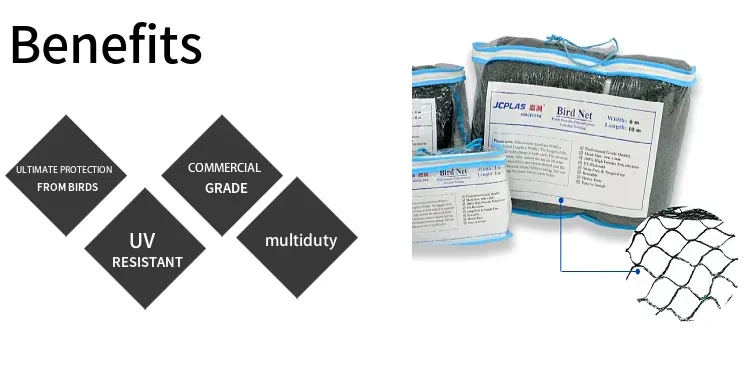 Effective Bird Protection Methods for Solar Panels and Sustainable Energy Solutions