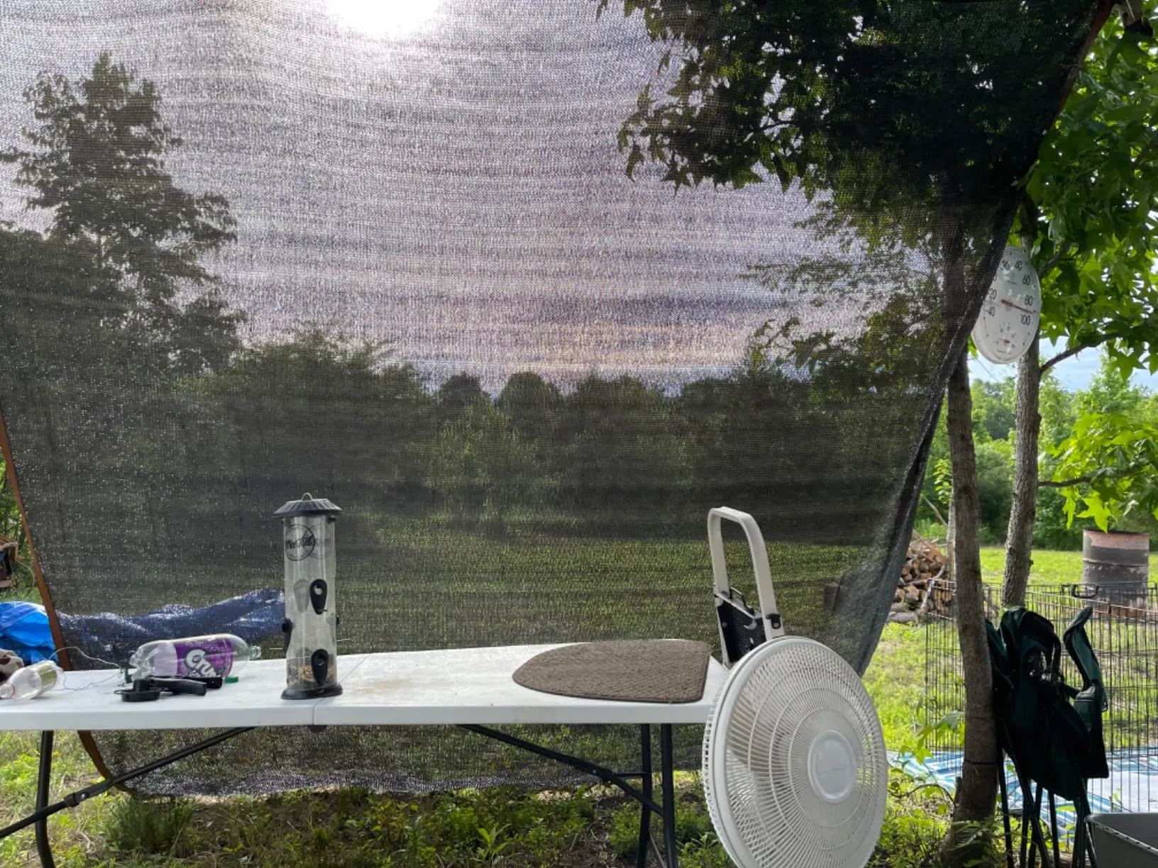 Durable Plastic Trellis Net for Enhanced Plant Growth and Support Solutions Durable Plastic Trellis Net for Enhanced Plant Growth and Support Solutions