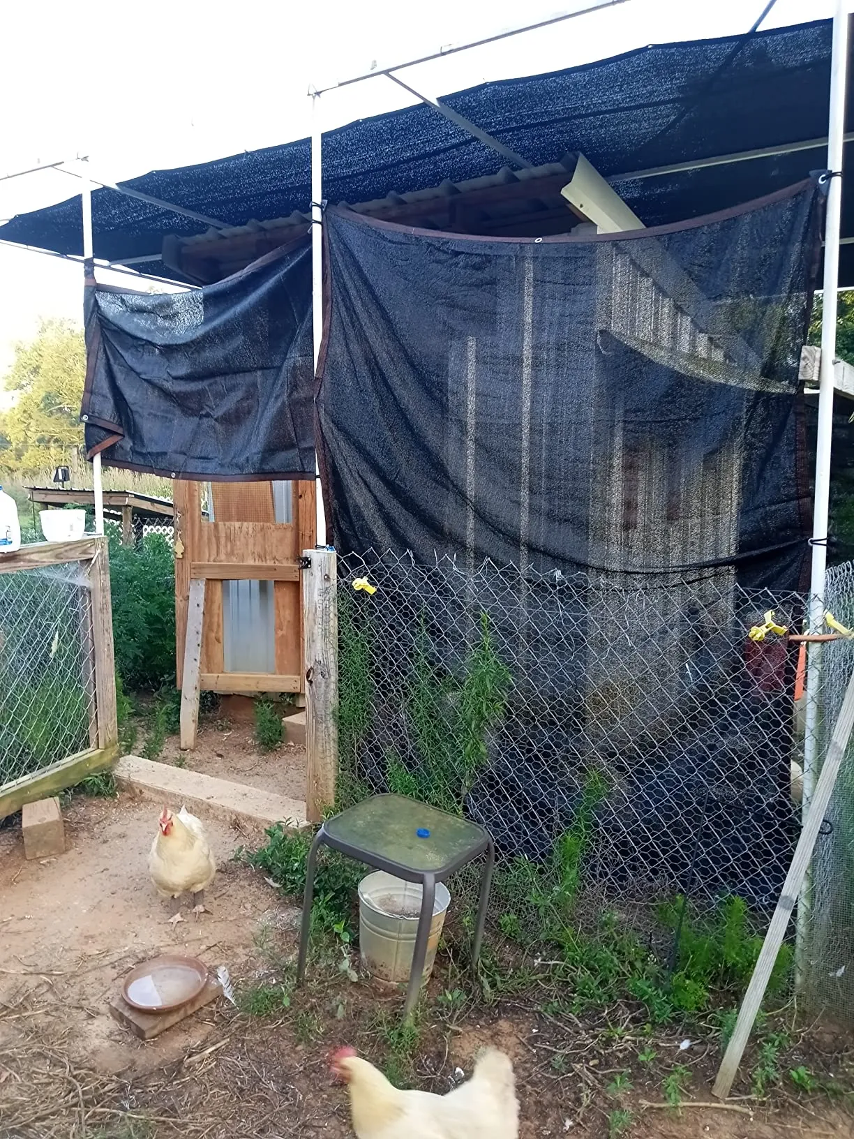 Read More About net for sun shade