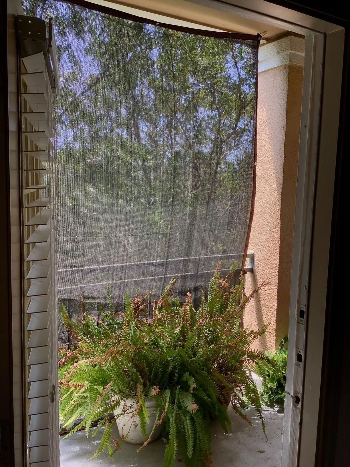 Read More About net for sun shade