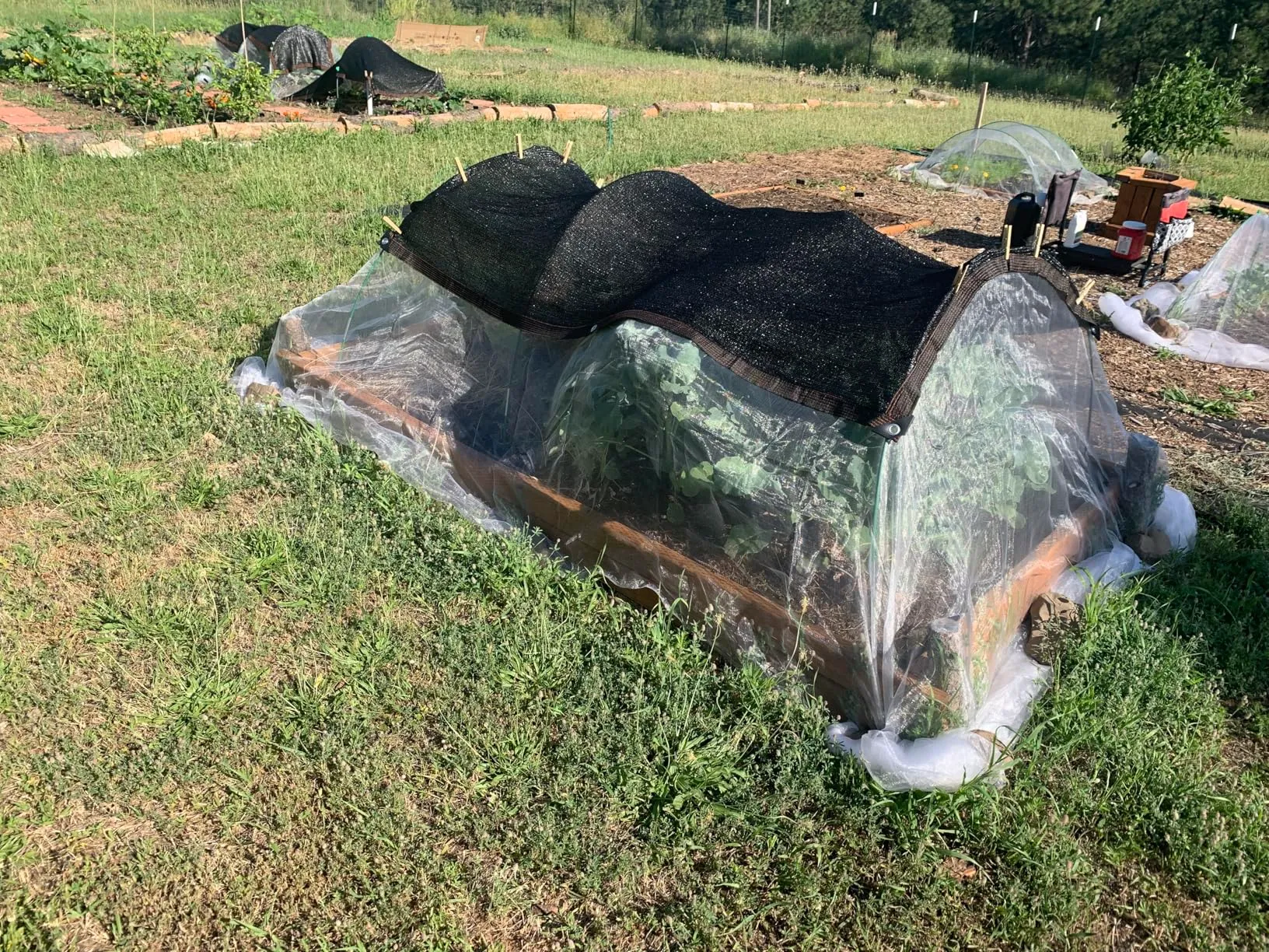 Essential Guide to Choosing and Using Camping Bug Nets Effectively