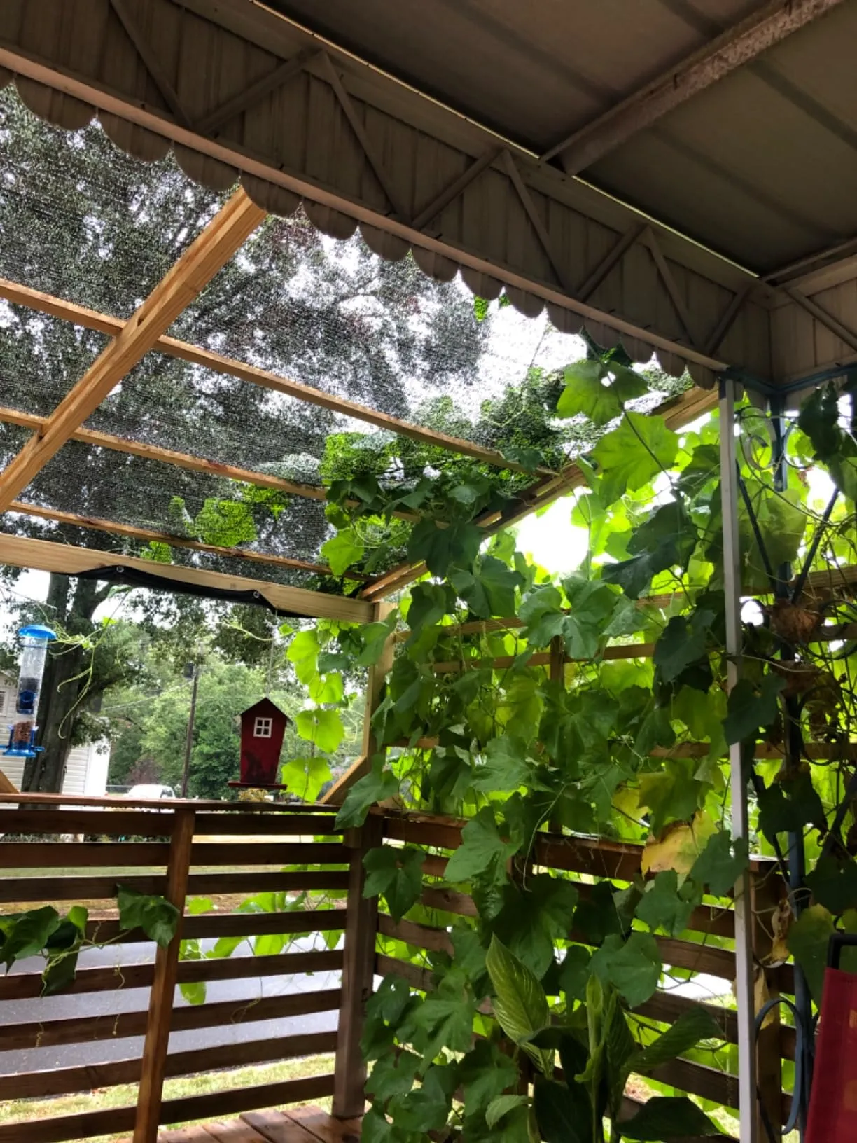 Read More About sunshade net