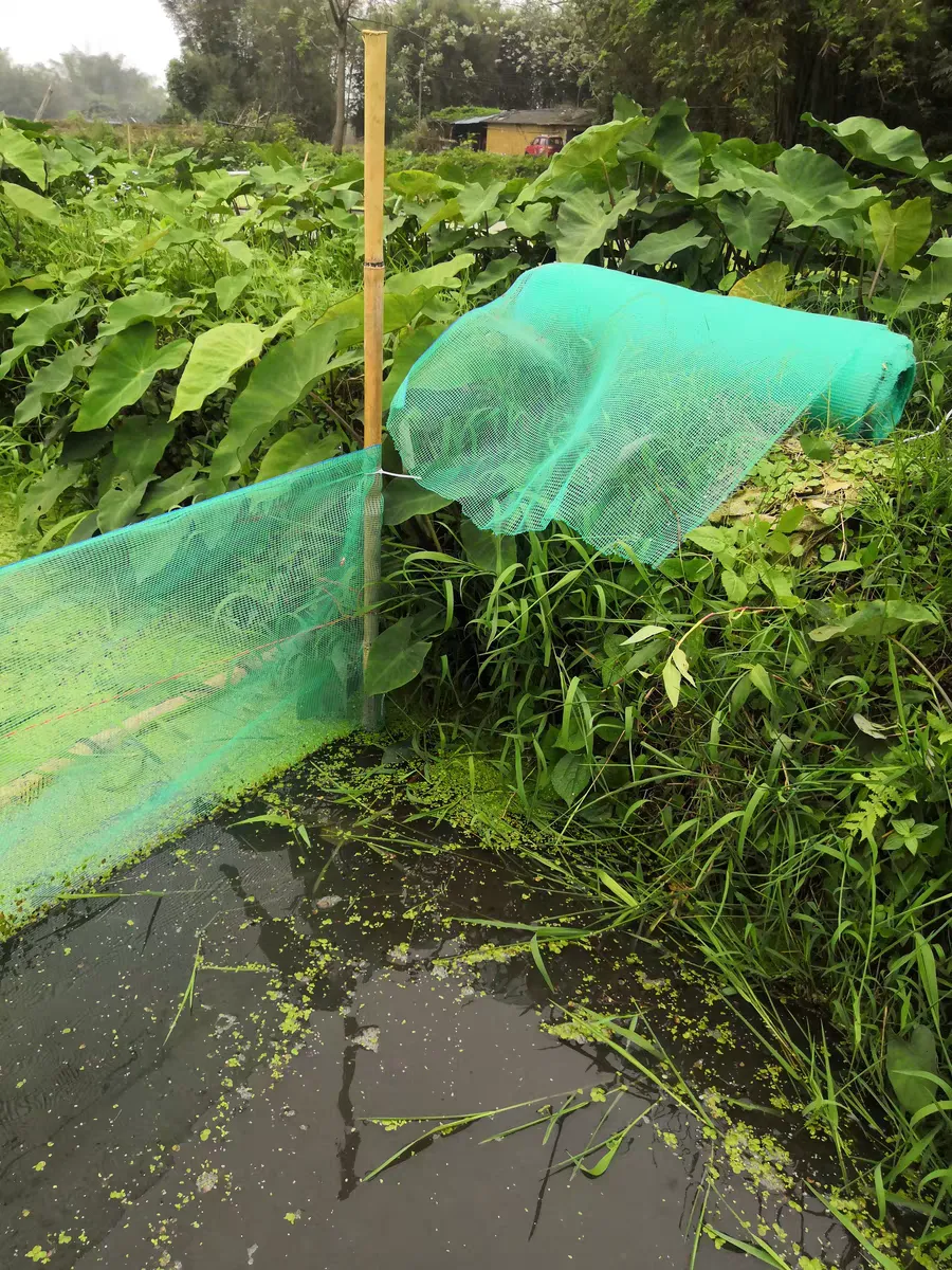 Read More About Hail Netting For Vineyards