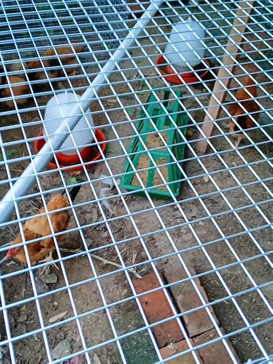 Vibrant Applications of Perforated Steel Mesh in Modern Design and Construction