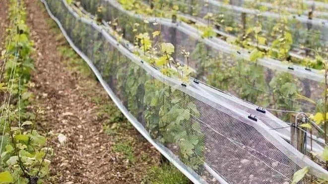 Read More About Mesh Insect Cage