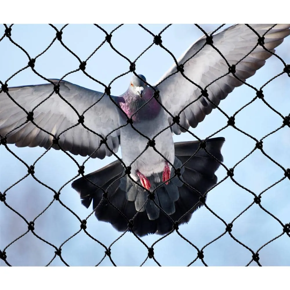 Read More About bird netting