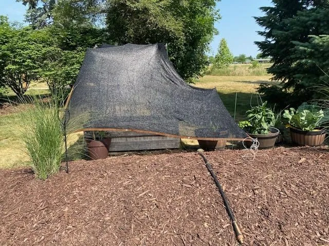 Read More About sun shade mesh