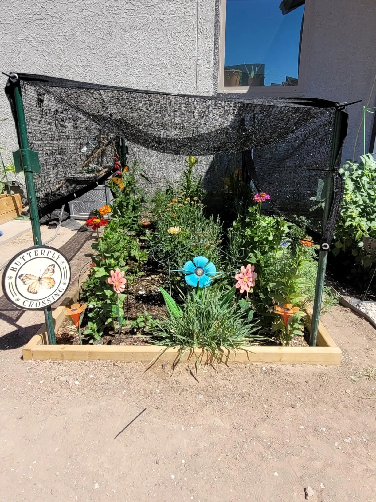 Read More About net sun shade