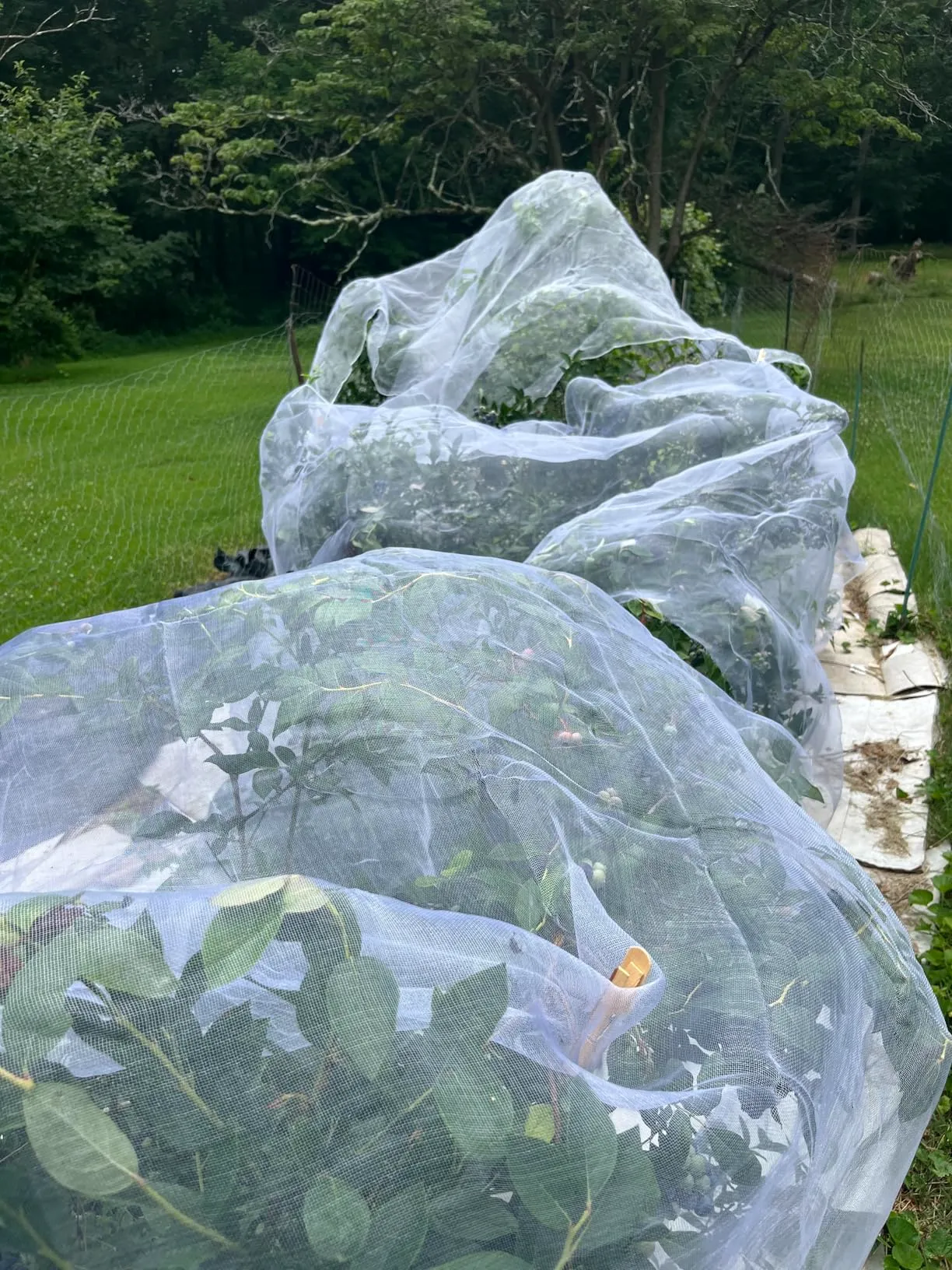 livestock wire fence panels