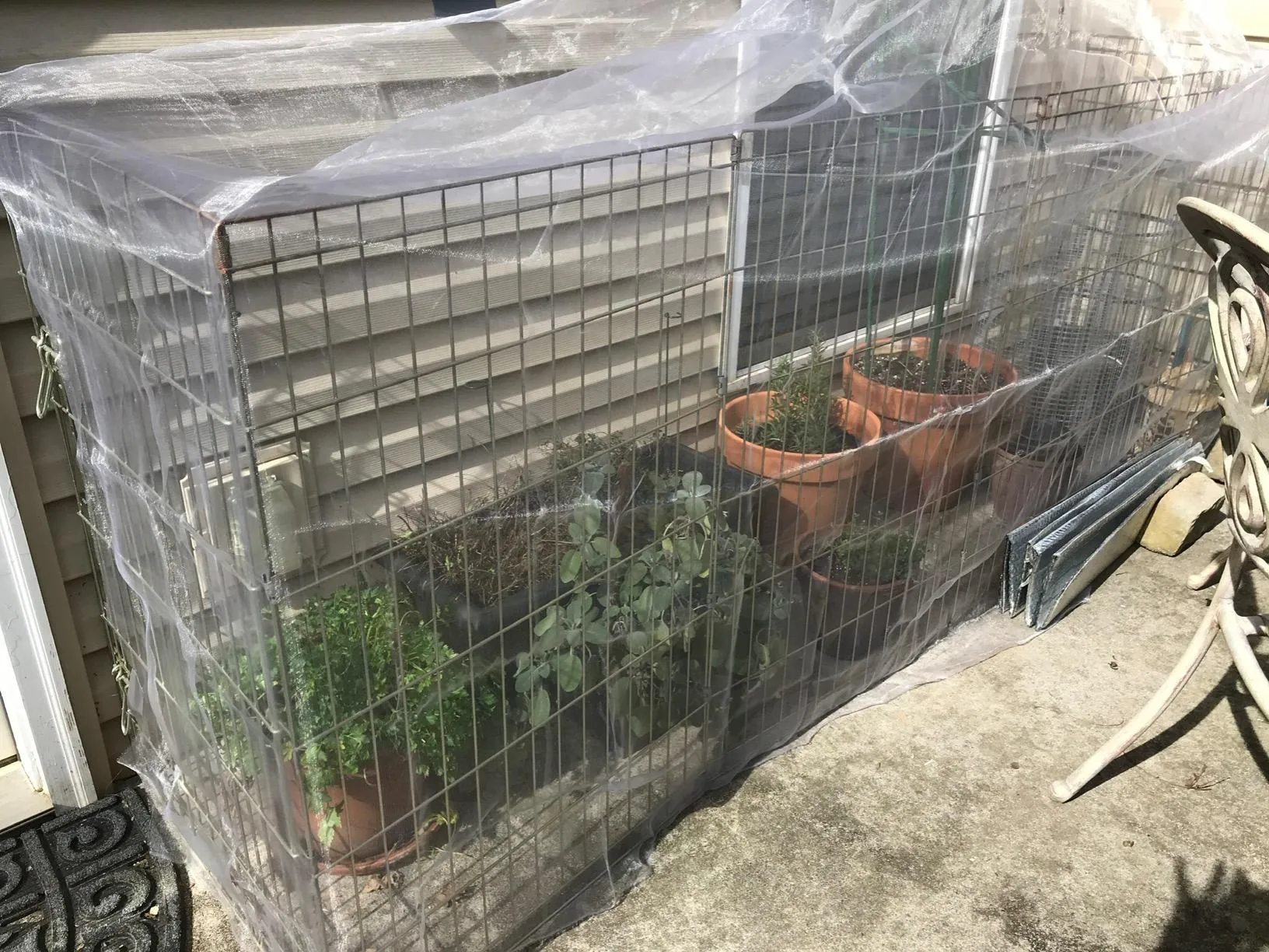 Shielding Your Garden from Hail Damage with Effective Netting Solutions