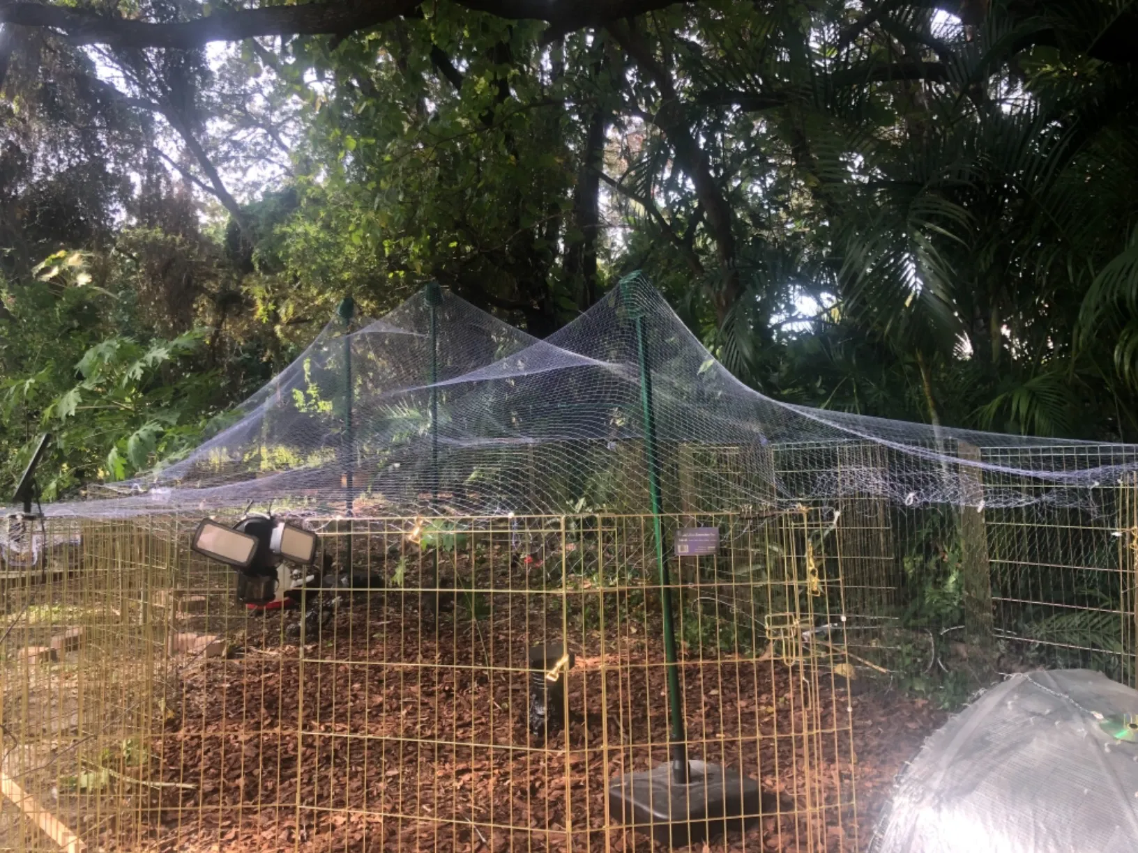 crop net for agriculture