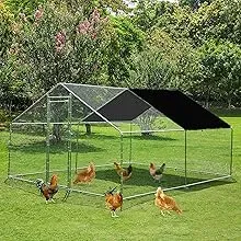 Read More About sun shade green net