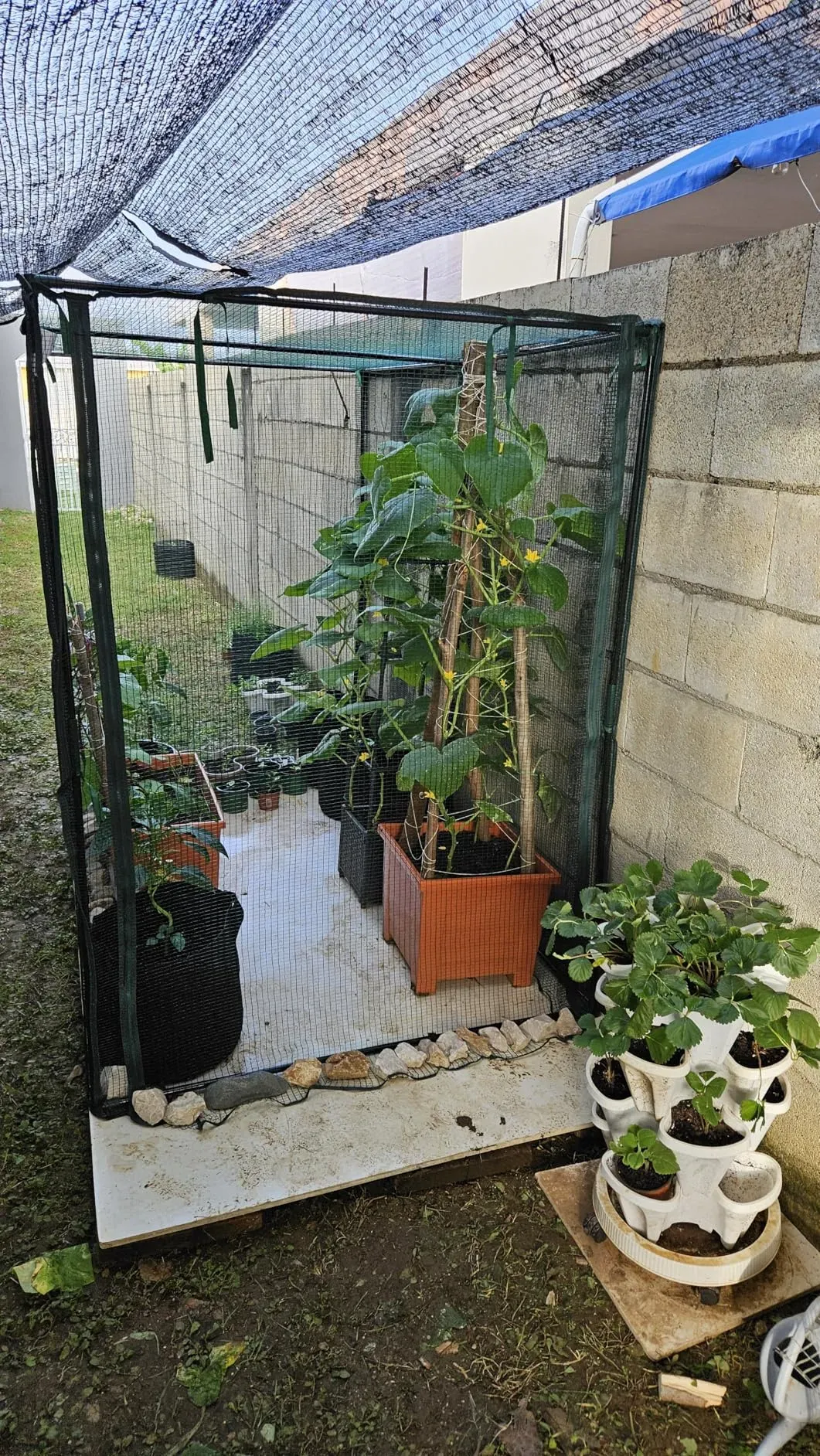 Read More About sun shade green net