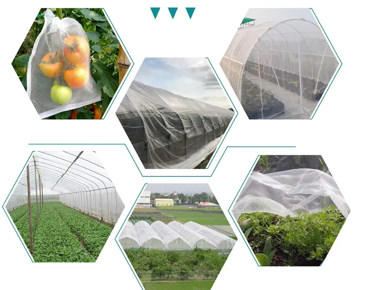Read More About insect net mesh 50