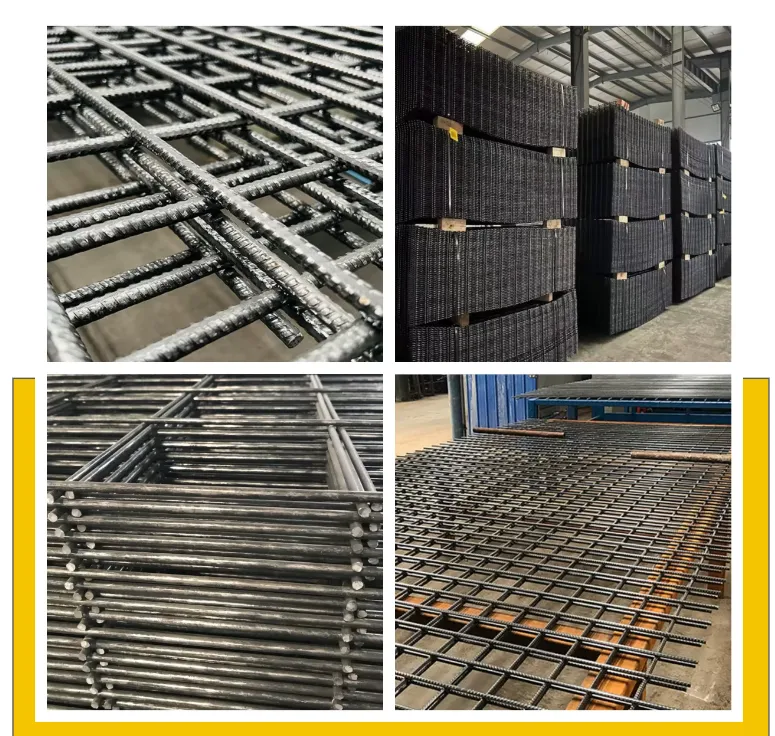 Network for Avian Conservation and Research Initiatives