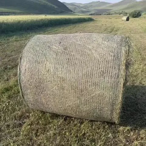 Eco-Friendly Green Nylon Mesh for Sustainable Products and Fashion Applications