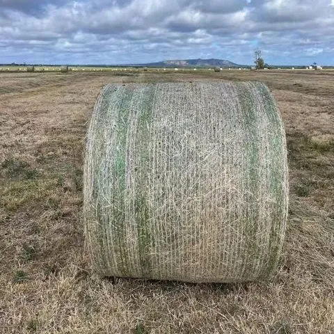 Top Manufacturers of PVC Coated Wire Mesh for Various Applications and Industries