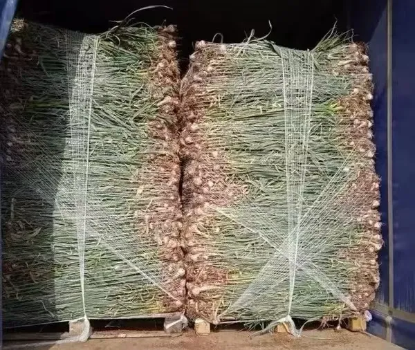 High-Quality Bale Net Wrap for Secure Silage Tarp Protection and Optimal Crop Preservation