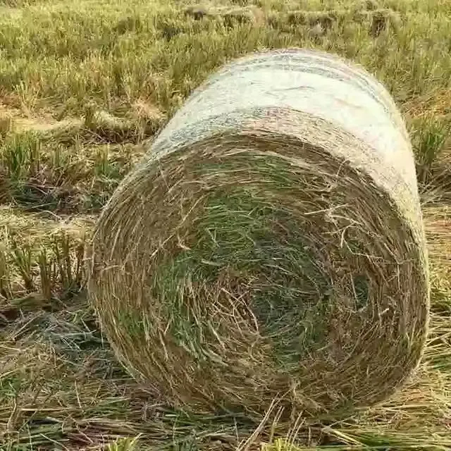 High-Quality Bale Net Wrap for Secure Silage Tarp Protection and Optimal Crop Preservation
