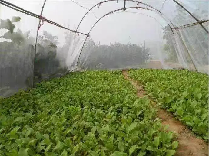 Read More About insect proof net