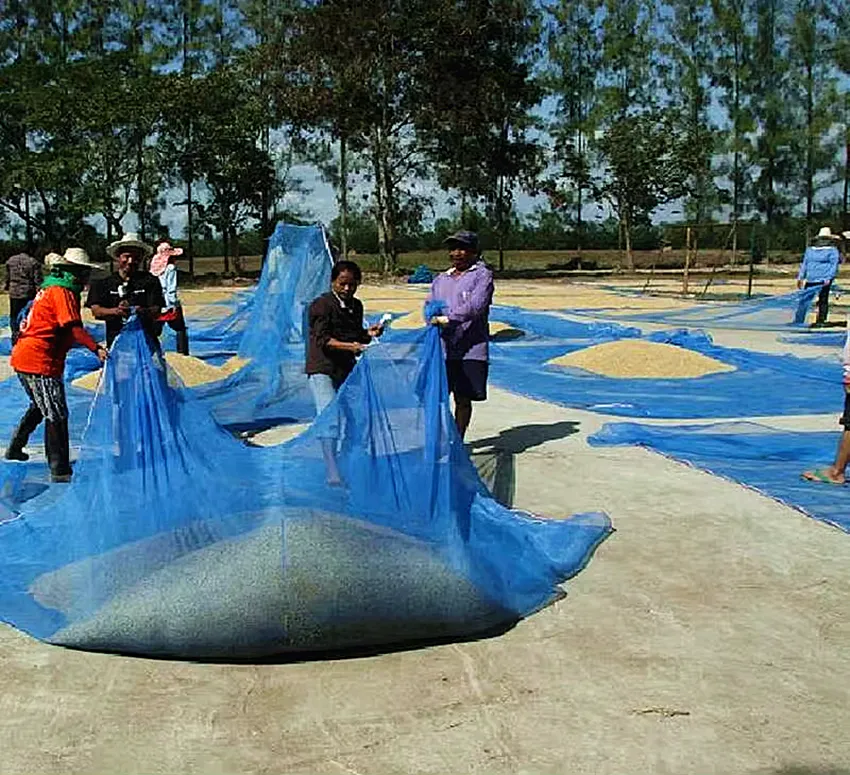 Read More About agricultural insect net price