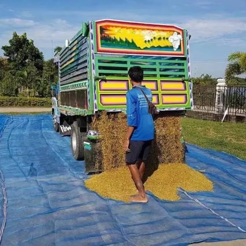 Read More About black insect netting