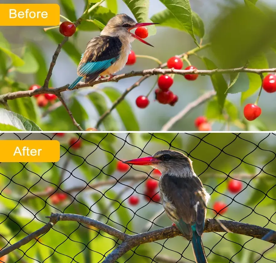 Read More About Agricultural Netting