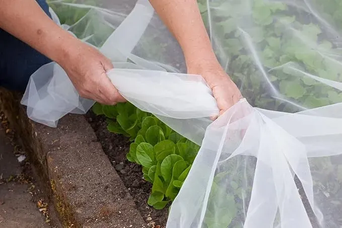 Read More About agricultural insect net