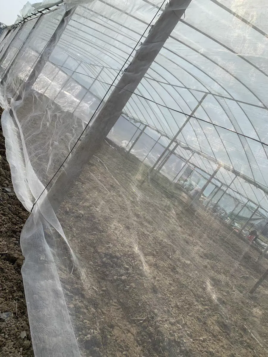Read More About insect netting fabric