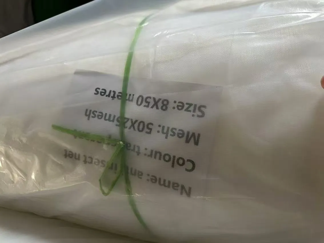 Read More About bug catching nets