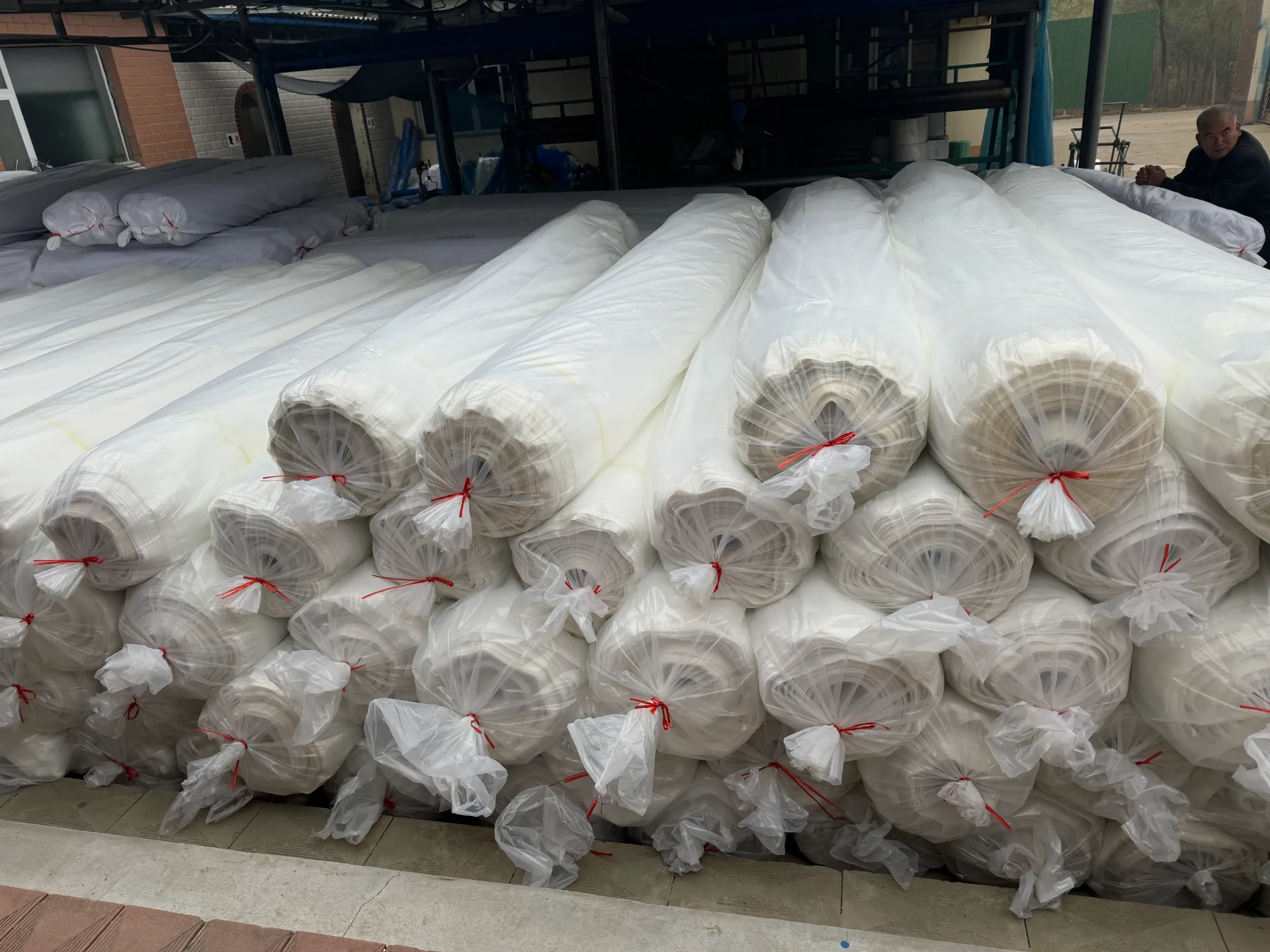 Read More About bug net catcher