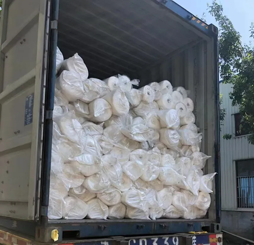 Read More About insect net