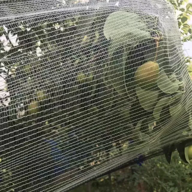 Read More About anti hail netting