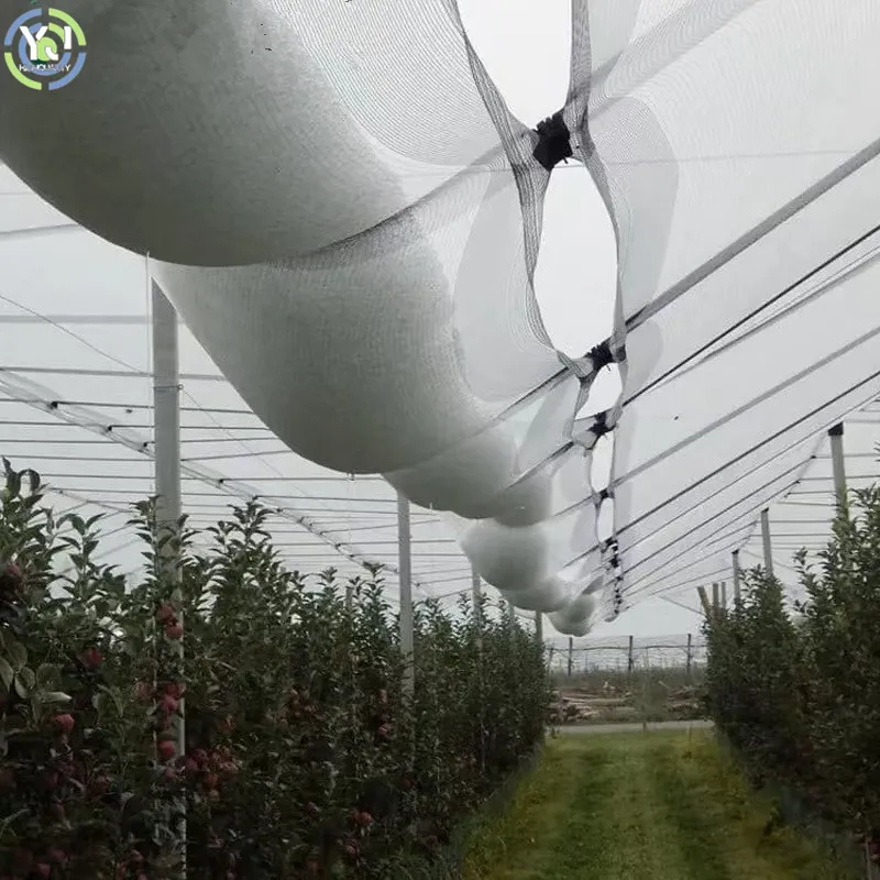 Read More About anti hail netting