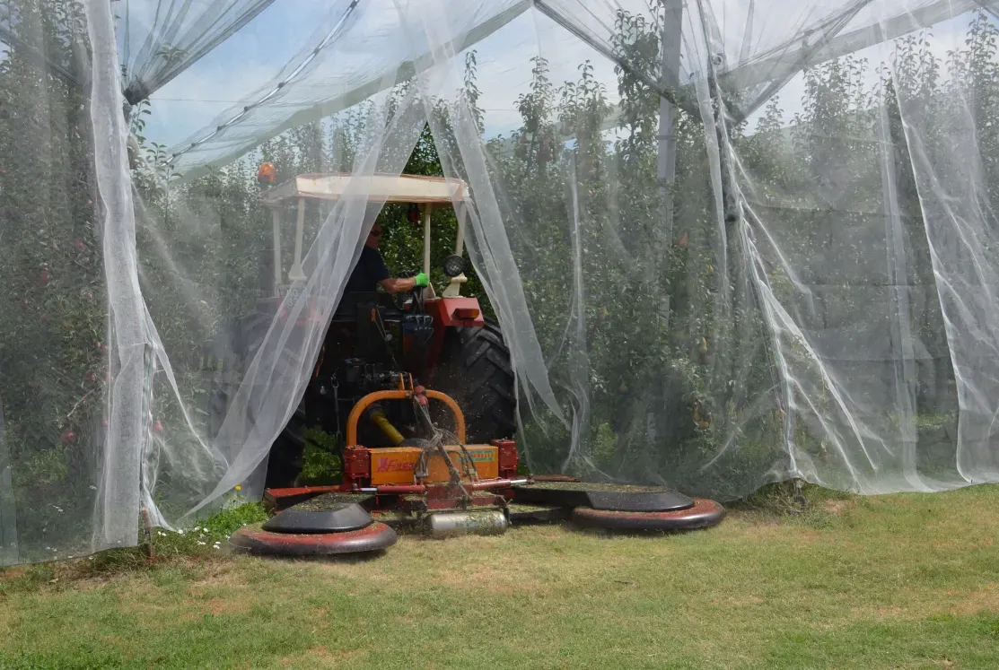 Read More About insect net