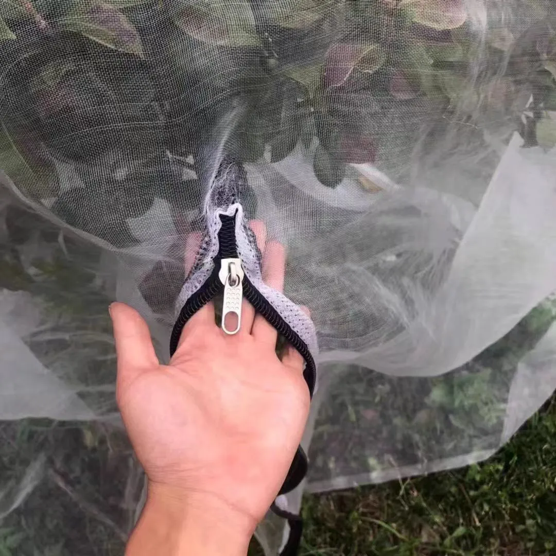 Read More About bug net fabric