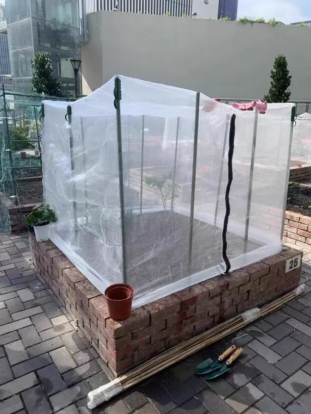 Read More About insect net