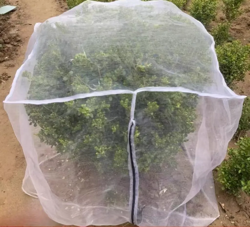 Read More About bug net for food