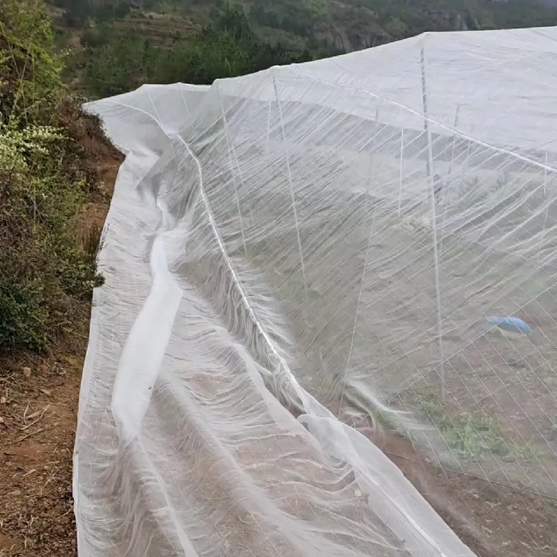 Durable Steel Mesh Solutions for Gabion Applications and Landscape Design