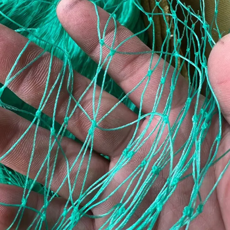 Heavy Duty Garden Bird Mesh & Netting for Ultimate Protection