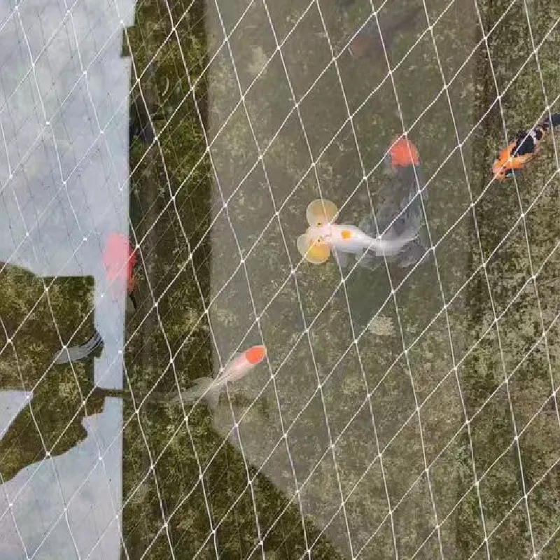 Heavy Duty Garden Bird Mesh & Netting for Ultimate Protection