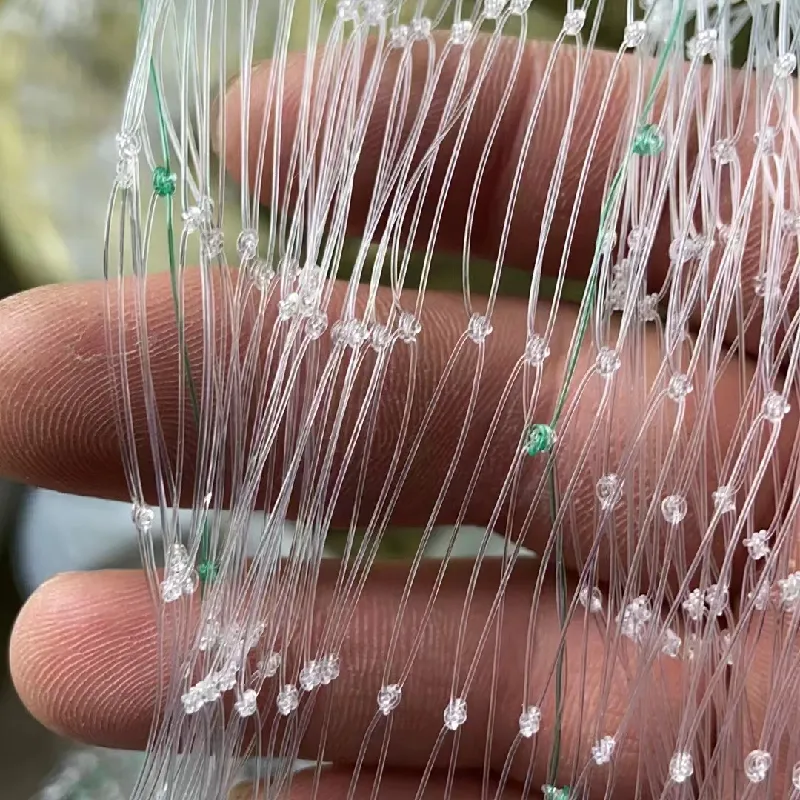 Heavy Duty Garden Bird Mesh & Netting for Ultimate Protection