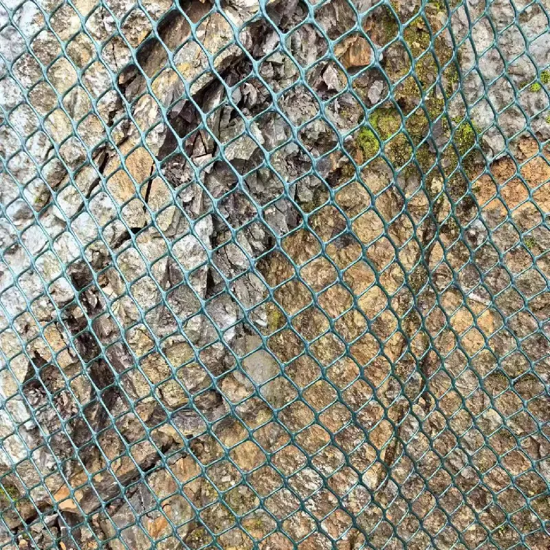 Innovative Uses and Environmental Impact of Plastic Nets in Modern Industries Innovative Uses and Environmental Impact of Plastic Nets in Modern Industries