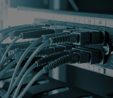 316 Stainless Steel Welded Wire Mesh for Durability and Strength in Various Applications 316 Stainless Steel Welded Wire Mesh for Durability and Strength in Various Applications