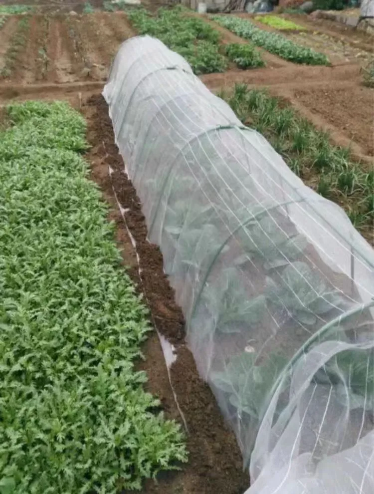 Filtri in rete di acciaio inossidabile per applicazioni industriali e domestiche