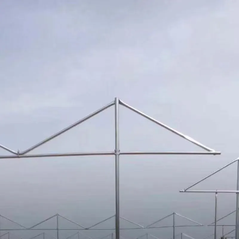 Durable Plastic Net for Windows | Enhance Safety and Comfort